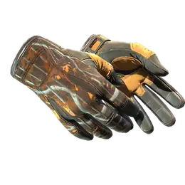 Sport Gloves | Big Game image