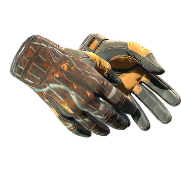 Sport Gloves