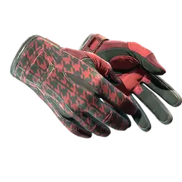 Sport Gloves | Scarlet Shamagh image