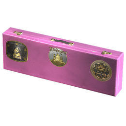 Budapest 2025 Dust II Souvenir Package image