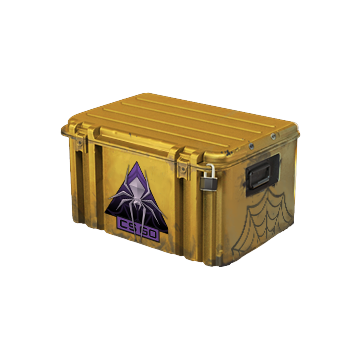 Shattered Web Case image