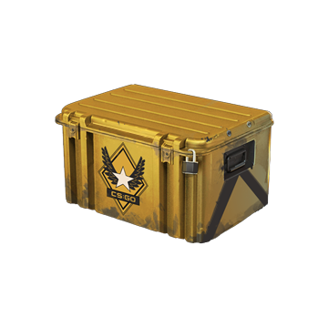 Winter Offensive Weapon Case image