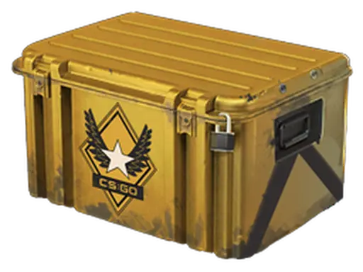 Winter Offensive Weapon Case