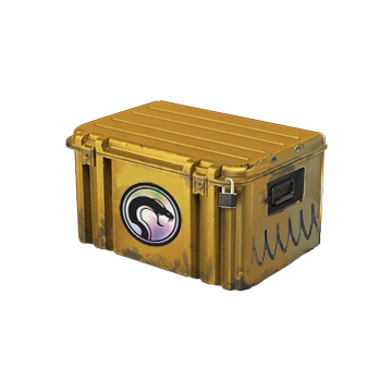 Recoil Case image