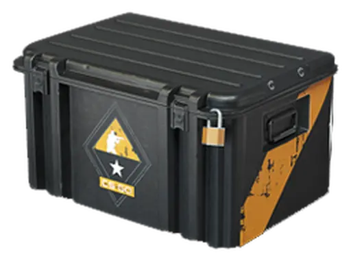 CS:GO Weapon Case