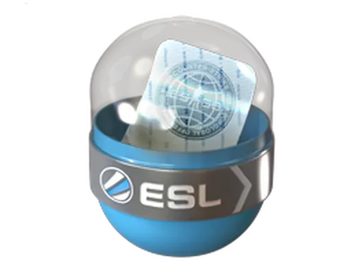 EMS Katowice 2014 Challengers