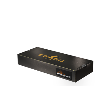 DreamHack 2013 Souvenir Package image