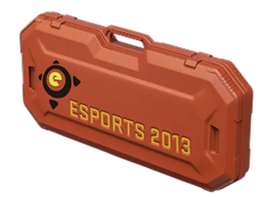 eSports 2013 Case