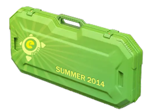 eSports 2014 Summer Case