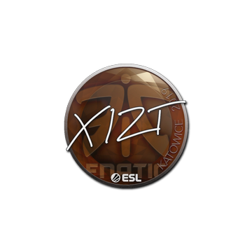 Sticker | Xizt | Katowice 2019