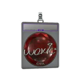 Sticker Slab | woxic image