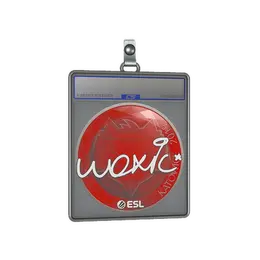 Sticker Slab | woxic | Katowice 2019 image