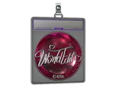 Sticker Slab | WorldEdit image