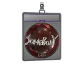Sticker Slab | somebody image
