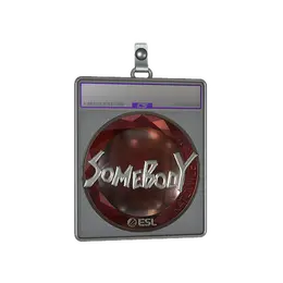Sticker Slab | somebody image
