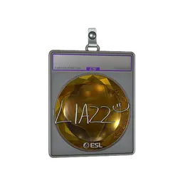 Sticker Slab | Liazz image