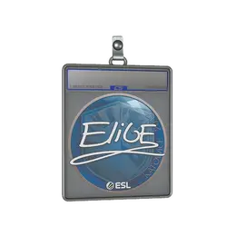 Sticker Slab | EliGE | Katowice 2019 image