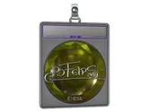 Sticker Slab | felps image