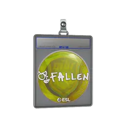 Sticker Slab | FalleN | Katowice 2019 image