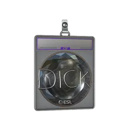Sticker Slab | DickStacy image