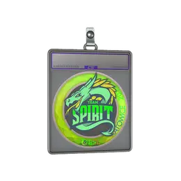Sticker Slab | Team Spirit image