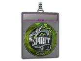 Sticker Slab | Team Spirit image
