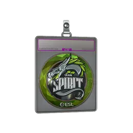 Sticker Slab | Team Spirit image