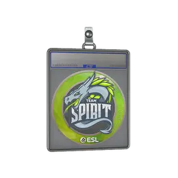 Sticker Slab | Team Spirit | Katowice 2019 image