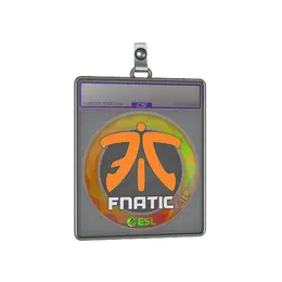 Sticker Slab | Fnatic image