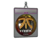 Sticker Slab | Fnatic image