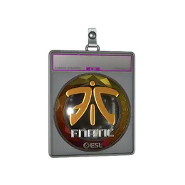 Sticker Slab | Fnatic image