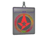 Sticker Slab | Astralis image