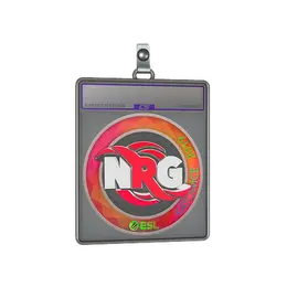 Sticker Slab | NRG image