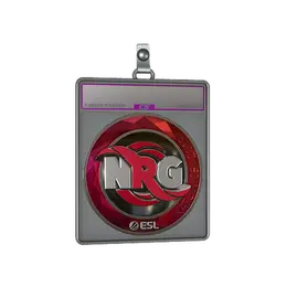 Sticker Slab | NRG image