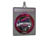 Sticker Slab | Winstrike Team image