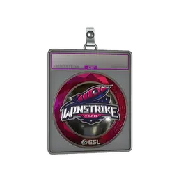 Sticker Slab | Winstrike Team image