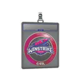 Sticker Slab | Winstrike Team | Katowice 2019 image