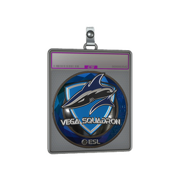 Sticker Slab | Vega Squadron image