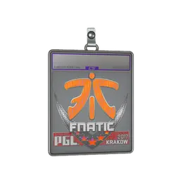 Sticker Slab | Fnatic image