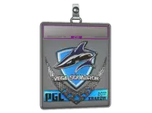 Sticker Slab | Vega Squadron image