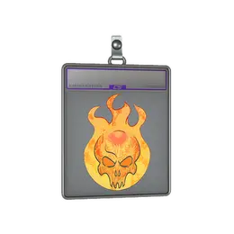 Sticker Slab | Incineration image
