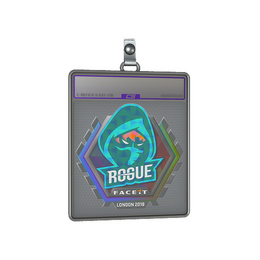 Sticker Slab | Rogue image