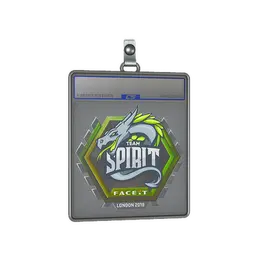 Sticker Slab | Team Spirit | London 2018 image