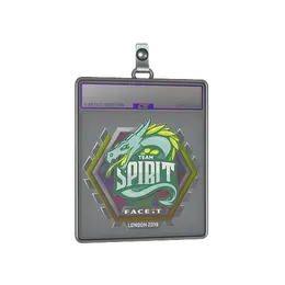 Sticker Slab | Team Spirit image