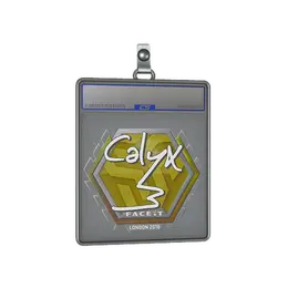 Sticker Slab | Calyx | London 2018 image