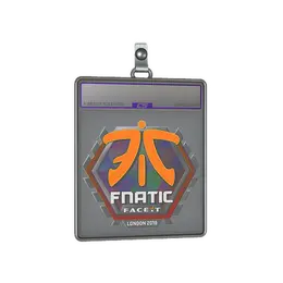 Sticker Slab | Fnatic image