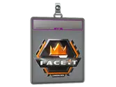Sticker Slab | FACEIT image