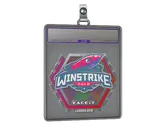 Sticker Slab | Winstrike Team image