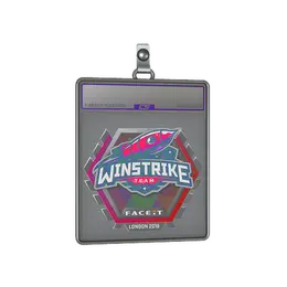 Sticker Slab | Winstrike Team image