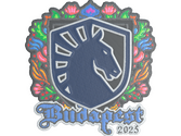 Sticker | Team Liquid (Embroidered) | Budapest 2025 image